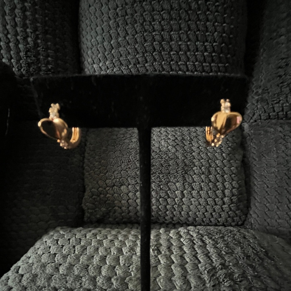 Elegant Gold Hoop Earrings